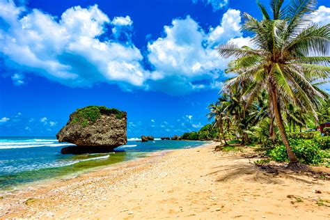 Experience the Best of Barbados Beaches – You Wont Find This Anywhere Else